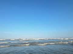 -日照海滨国家森林公园