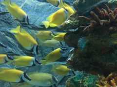 -乌鲁木齐海洋馆