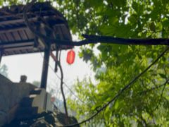 -石台牯牛降景区
