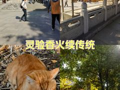 -西安大兴善寺