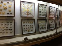 -陕西自然博物馆