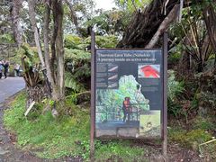 -夏威夷火山国家公园