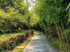-东台西溪天仙缘景区