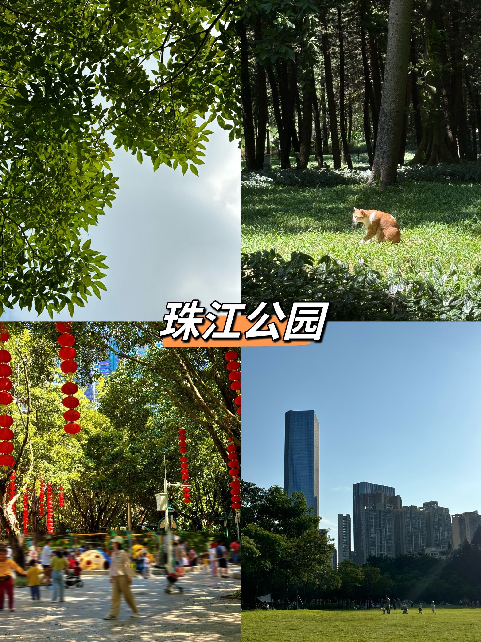 广州cbd里zui好逛的公园!