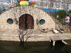 -南宫五洲植物乐园