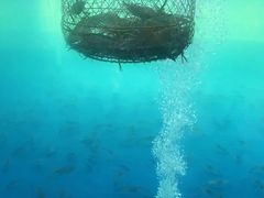 -SHRIMP CLUB万东餐饮钓虾·清吧