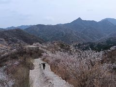 -龙泉峪长城