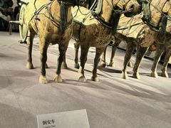 -秦始皇帝陵博物院-丽山园
