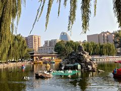 -团结湖公园