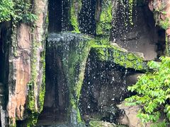 -长鹿旅游休博园