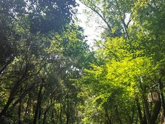 -金典银峰老鹅馆·昆山菜(亭林公园店)