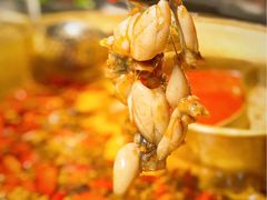 -哥老官重庆美蛙鱼头(虹口龙之梦店)