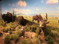 -陕西自然博物馆