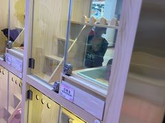 -爪爪喵星球·猫舍(前海卓越店)