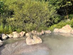 -帽儿山风景区