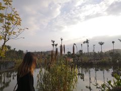 -枫香湖儿童公园