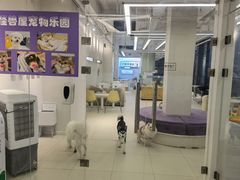 -怪兽屋·羊驼·猫咖·狗咖(俊华广场店)