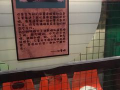 -猫咪博物馆(顶澳仔猫街店)