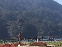 -广州市石门国家森林公园