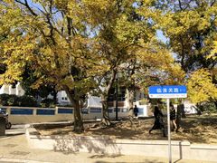 -八大关景区