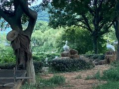 -无锡动物园·太湖欢乐园
