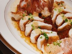 古法蒸东星斑-东富酒家(龙湖西溪天街店)