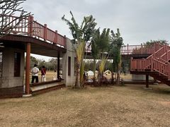 -宝安西湾红树林湿地公园