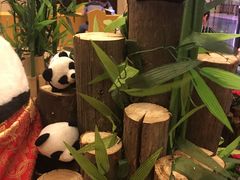 -成都保利公园皇冠假日酒店(熊猫基地店)
