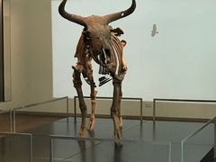 -丹麦国家博物馆