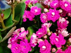 -天毓山庄·餐厅