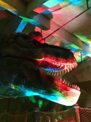 -恐龙探索乐园(磁器口店)