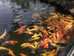 -湖鲜楼