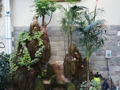 -丽江庭院之丽江往事(安定门店)