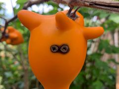 -优游吧斯邹族文化部落