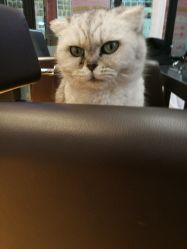 -D.z Salon 无痕接发潮店