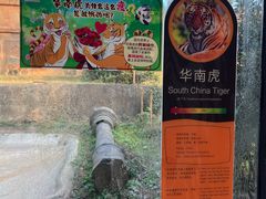 -杭州野生动物世界