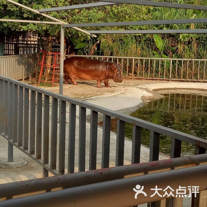 东莞寮步香市动物园