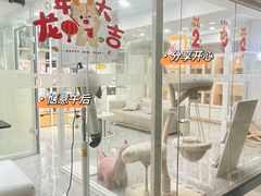 -爱洗澡的猫(天河路店)