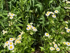 -宁波浙东大竹海景区