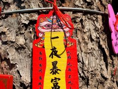 -圣莲山风景区