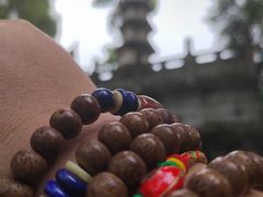 -黔灵山公园