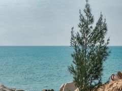 -广东惠东海龟国家级自然保护区