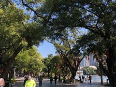-荔湾湖公园
