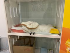 -萌兽医馆·眼科·异宠专科(三里屯店)