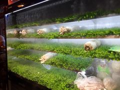-叉叉裤鲜火锅(空港新城店)