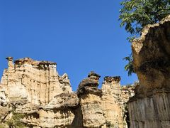 -元谋土林景区(物茂土林)