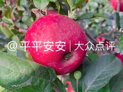 -潮汕大目牛肉火锅(皇岗旗舰店)
