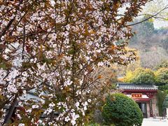 -西安华清御汤酒店