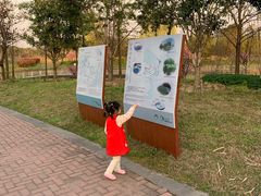 -同里国家湿地公园