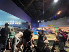 -瑞普利水族馆